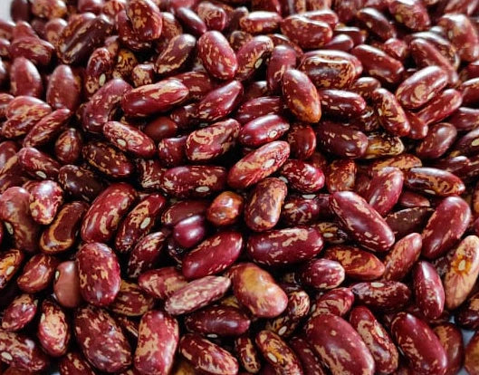 Organic Pulses – Himalayan, Natural & Chemical-Free