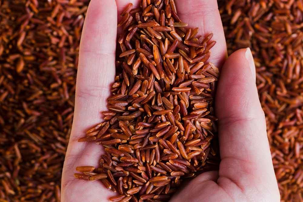 Organic Rice – Natural, Unpolished & Healthy
